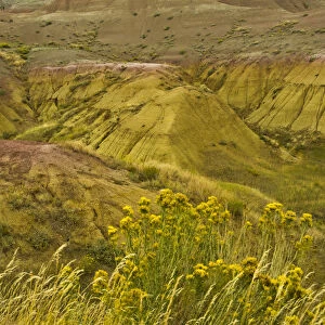 Colorful hills of Badlands Loop Road, Badlands National Park, South Dakota, USA