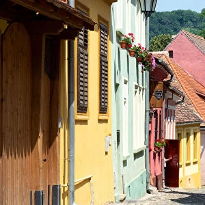 Colorful houses in Sighisoara old town, Transylvania, Romania