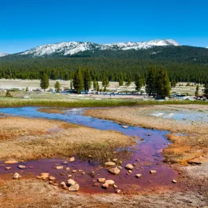Colorful Spring Tuolumne Meadow Print Colorful Spring Tuolumne Meadow Print
