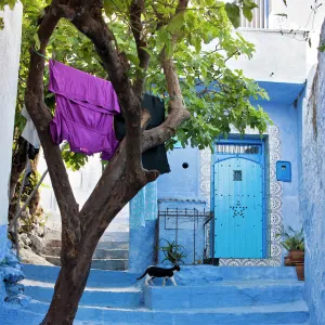 The colourful town of Chefchaoeun, Morocco