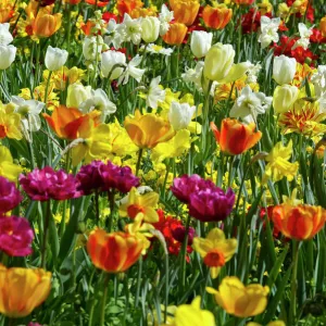 Images Dated 2012 April: 28 Apr 2012