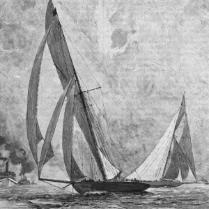 Columbia America's Cup Print Columbia America's Cup Print