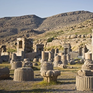 Columns in Persepolis, Iran