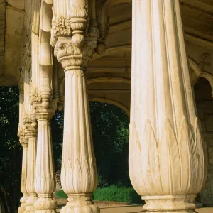 Columns in the Red Fort, Delhi, India