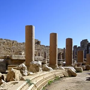 Columns, Severan basilica, Ruins of the Roman City Leptis Magna, Libya