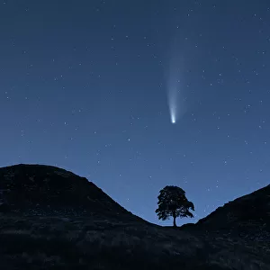 Comet Neowise Over Sycamore Gap (Hadrian's Wall). Northumberland. UK