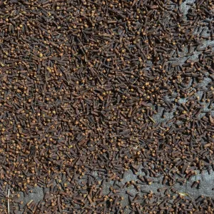 Almost completely dried cloves -Syzygium aromaticum- laid out to dry, Munduk, Bali, Indonesia