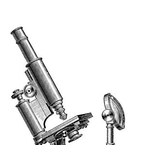 Compound microscope by Edmund Hartnack