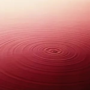 Concentric rings on water Concentric rings on water
