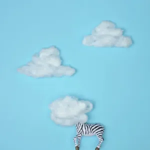 Conceptual Clouds Conceptual Clouds