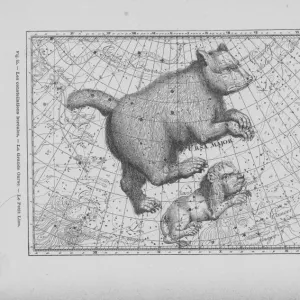 Constellations Ursa Major And Leo Minor Constellations Ursa Major And Leo Minor