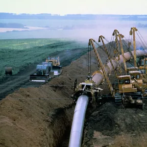 Images Dated 1982 July: 1 Jul 1982