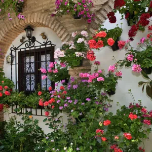 Travel Destinations Framed Print Collection: Cordoba, Spain