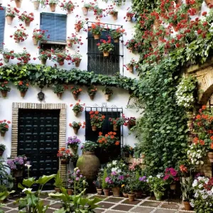 Cordoba, que mAas Cordoba, que mAas