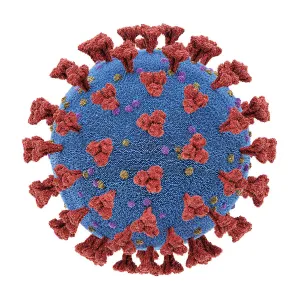 Coronavirus particle, illustration