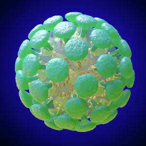 Coronavirus Structure Illustration