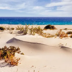 Corralejo Sand Dunes Fine Art Print Corralejo Sand Dunes Fine Art Print
