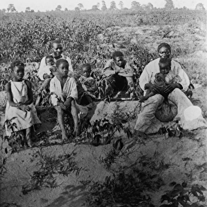 Cotton Pickers