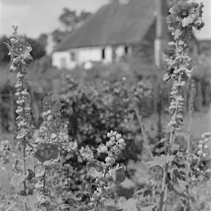 Country Cottage Country Cottage