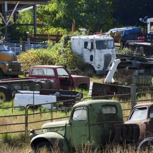 Country Junk Yard Print: The Pickup Truck