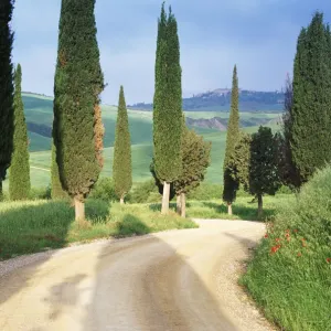 Country Road Country Road