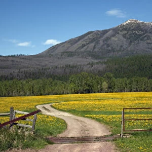 Country Roads, Farm in front of Mountain Near Glacier National Park, Montana, USA