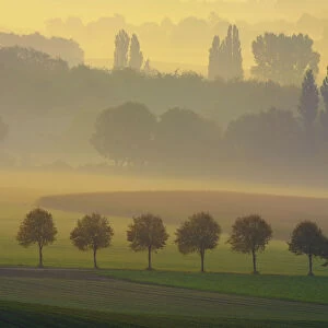 Countryside of the Lower Rhine in the morning, Sonsbeck, Lower Rhine, Germany