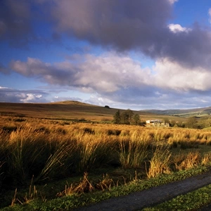 County Antrim rural field