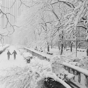 Images Dated 1981 March: 5 Mar 1981