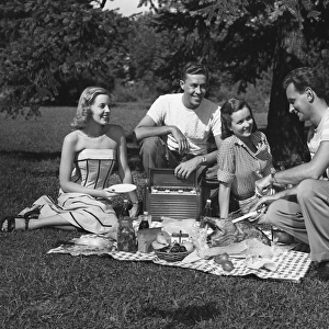 Two couples having a picnic