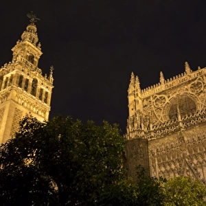 Court of the Oranges and Seville Cathedral at nigh