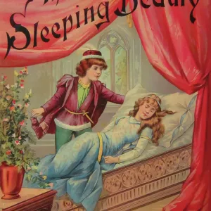 Cover Of The Sleeping Beauty Cover Of The Sleeping Beauty