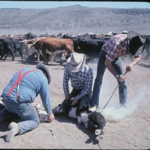 Images Dated 1981 May: 4 May 1981