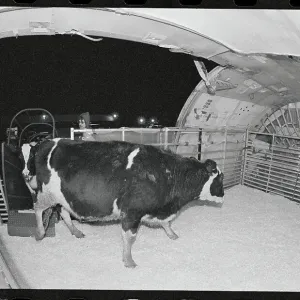 Images Dated 1978 April: 2 Apr 1978