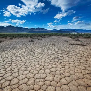 Cracked Desert Print: A Dry Landscape of South Eastern Oregon