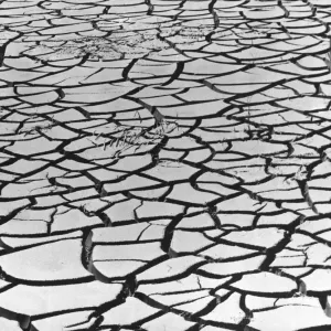 Cracked River Bed Print, 1950s California Landscape Cracked River Bed Print, 1950s California Landscape