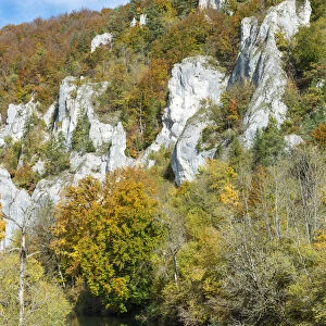 Craggy limestone rocks with a deciduous forest with autumnal colours, Danube Valley, Baden-Wuerttemberg, Germany, Europe