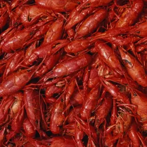 Crevettes (ou écrevisses), plein cadre. Crevettes (ou écrevisses), plein cadre.