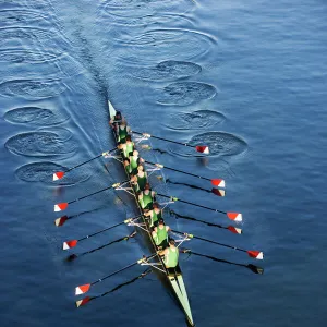 Crew Team Rowing