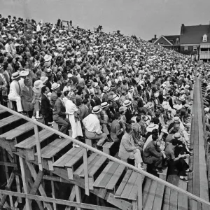 Cricket In America Cricket In America
