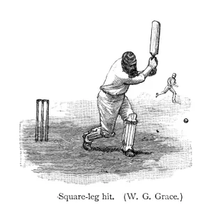 Cricket
