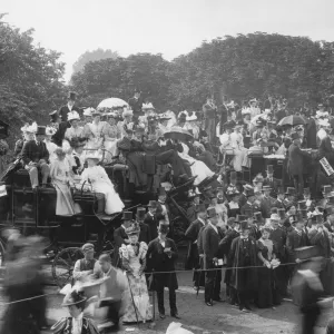 Cricket Crowd