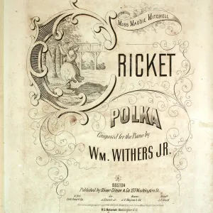 Cricket Polka Cricket Polka