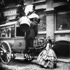 Crinoline Delivery