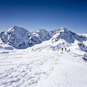 Cross-country skiers descending Hintere Schoentaufspitze Mountain, Solda, looking towards Koenigsspitze Mountain, Zebru Mountain Ortler Mountain and the Suldental Valley, Alto Adige, Italy, Europe