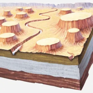 Cross-section illustration of Grand Canyon landscape a million of years ago