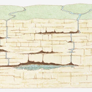 Cross-section illustration showing development of limestone caves, by streams and rainwater seeping through cracks and gradually dissolving the rock
