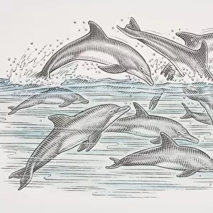 Cross-section underwater view of dolphins swimming and leaping over water surface, side view