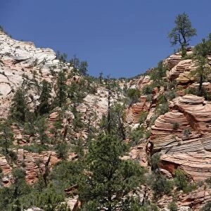 Cross-stratification in sandstone, the Navajo Formation, Zion National Park, Utah, USA