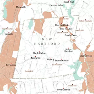 CT Litchfield New Hartford Vector Road Map